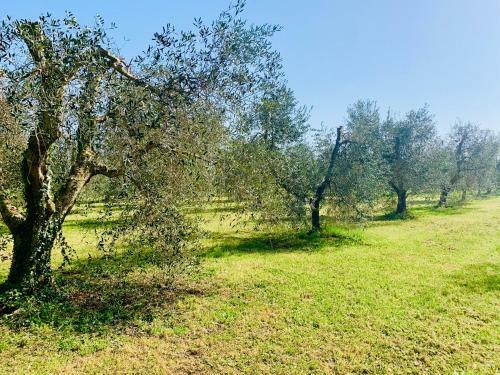 Apartamento Il Borghetto Di Ansedonia