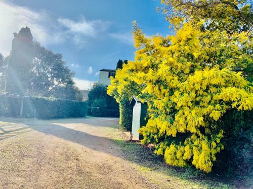 Apartamento Il Casale Di Ansedonia
