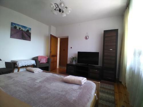 Apartamento Przy Starej Lipie