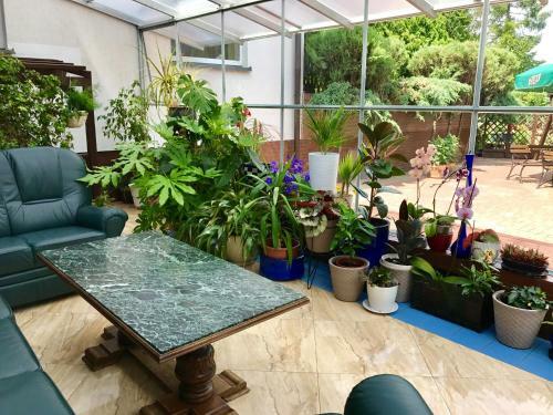 Bed & Breakfast Vita August�w