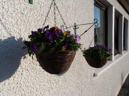 Hostal Hallaig Guest House
