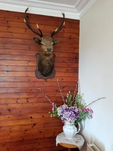 Hostal Glenan Lodge Guest House