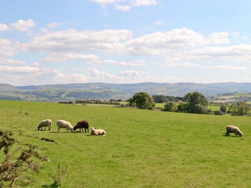 Felin Hedd (peaceful Mill)