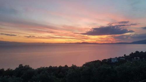 Apartamento Villa Belian 1