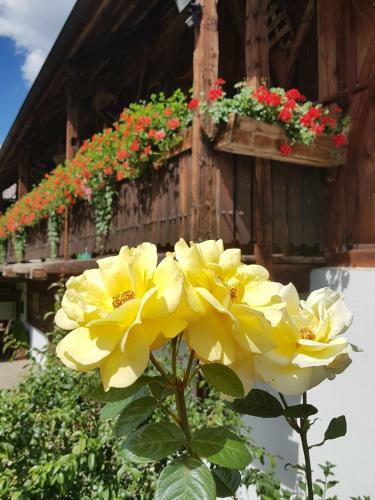Agroturismo M�llerhof
