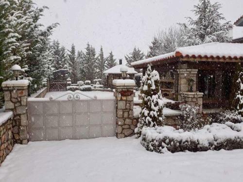 Villa In Parnassos