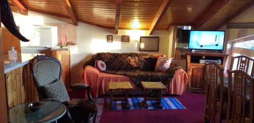 Apartamento Arachova Houses-sofita