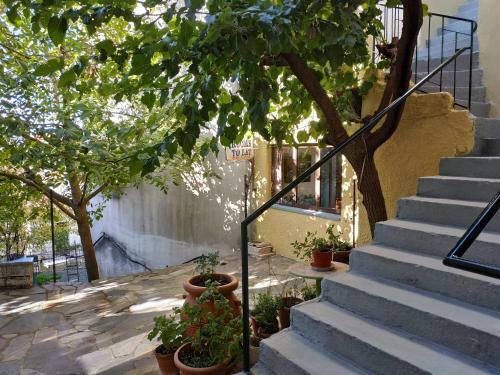 Hostal Piso Alonia