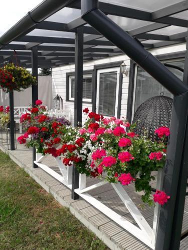 Holiday Home Kolka-v?rpas