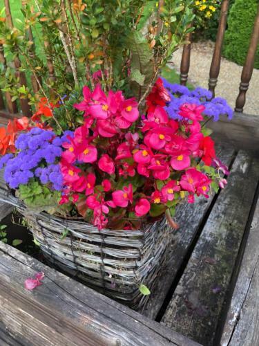 Bed & Breakfast Brookville Manor