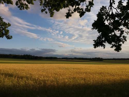 Bed En Breakfast Bergh En Bos