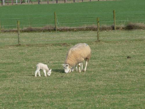 Bed En Breakfast Bergh En Bos