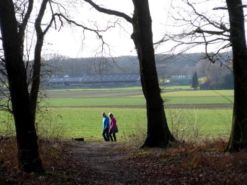 Bed En Breakfast Bergh En Bos