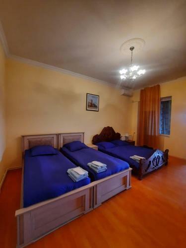 Hostal Brothers Khutsishvili Wine Cellar