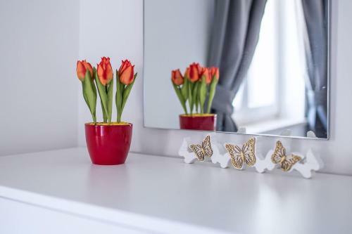 Apartment Podini