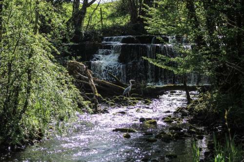 Villa Luxury 2 Bed 5 Mins From Carrick Next To Waterfall