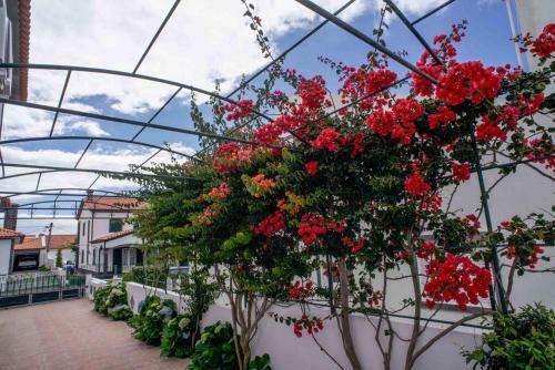 Apartamento Vivenda Gloriz�