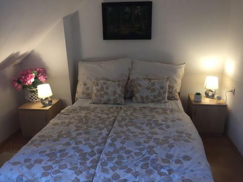 Hostal D�sa Tanya, Vend�gh�z