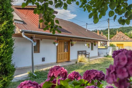 Hostal Dorci Vend�gh�z - A Piece Of Peace