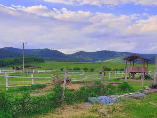Hostal Dorci Vend�gh�z - A Piece Of Peace