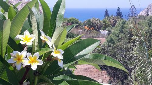 Apartamento Sunset Suites 'annada