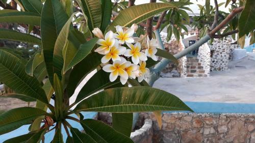 Apartamento Sunset Suites 'annada