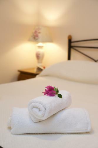 Apollon Apartment In Argostoli