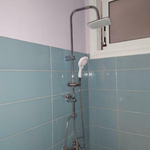 Napier Apartment