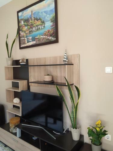Napier Apartment