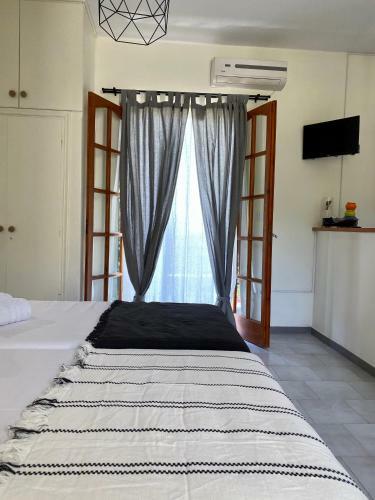 Lemon Tree Apartments B C