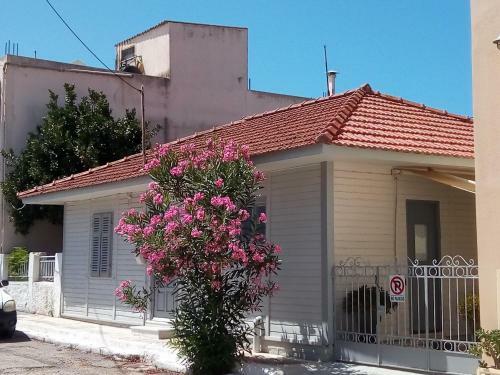 Cozy House In Argostoli