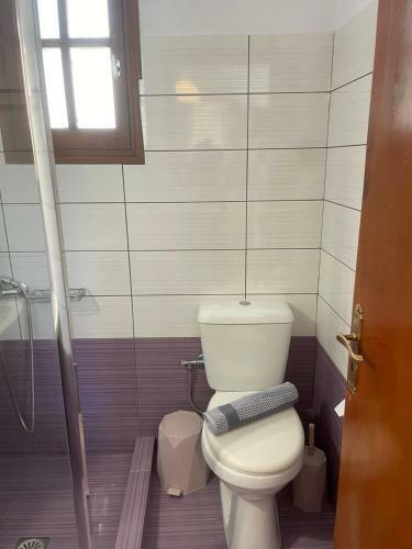Lemon Tree Apartments A D