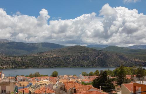 Dina Apartment Argostoli 1