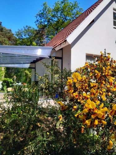 Vakantiewoning Zwaluw Beerze