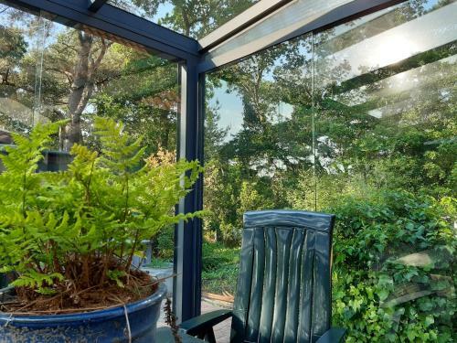 Vakantiewoning Zwaluw Beerze