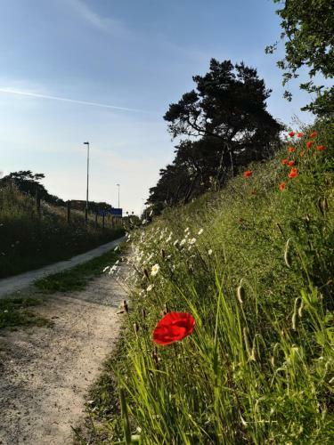 Vakantiewoning Zwaluw Beerze