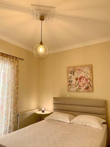 Citycenter Apartment