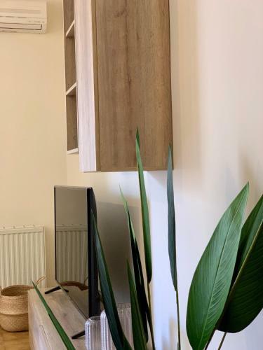 Citycenter Apartment