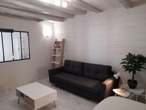 Apartamento Le Cosy D'amboise