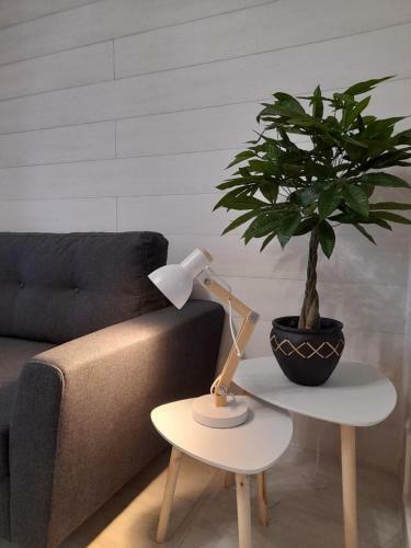 Apartamento Le Cosy D'amboise