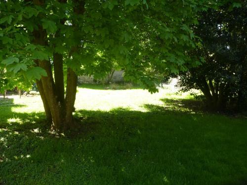 Bed & Breakfast La Petite Vigne