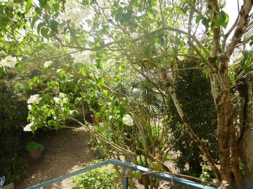 Bed & Breakfast La Petite Vigne