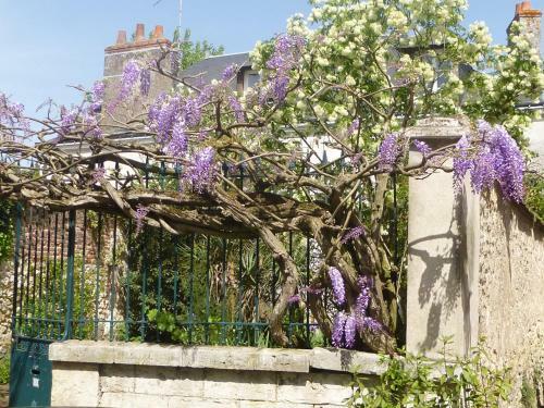 Bed & Breakfast La Petite Vigne