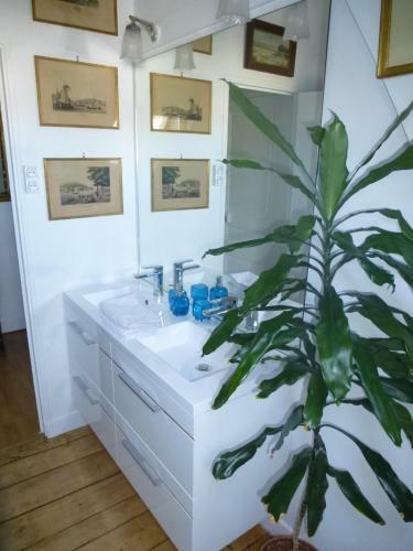 Bed & Breakfast La Petite Vigne