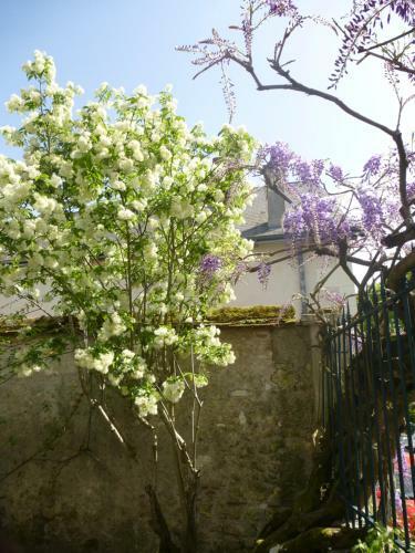 Bed & Breakfast La Petite Vigne