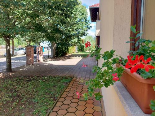 Cserke Apartmanh�z