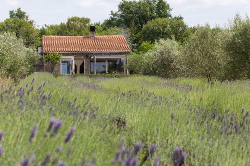 Officinalis - Family Vacation House
