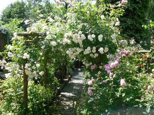 Bed & Breakfast Storrs Gate House