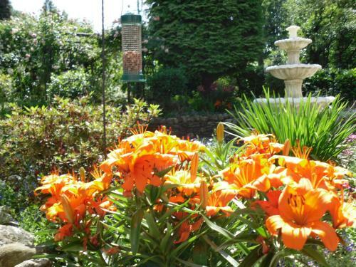 Bed & Breakfast Storrs Gate House