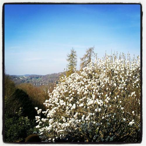 Lindeth Howe Country House Hotel